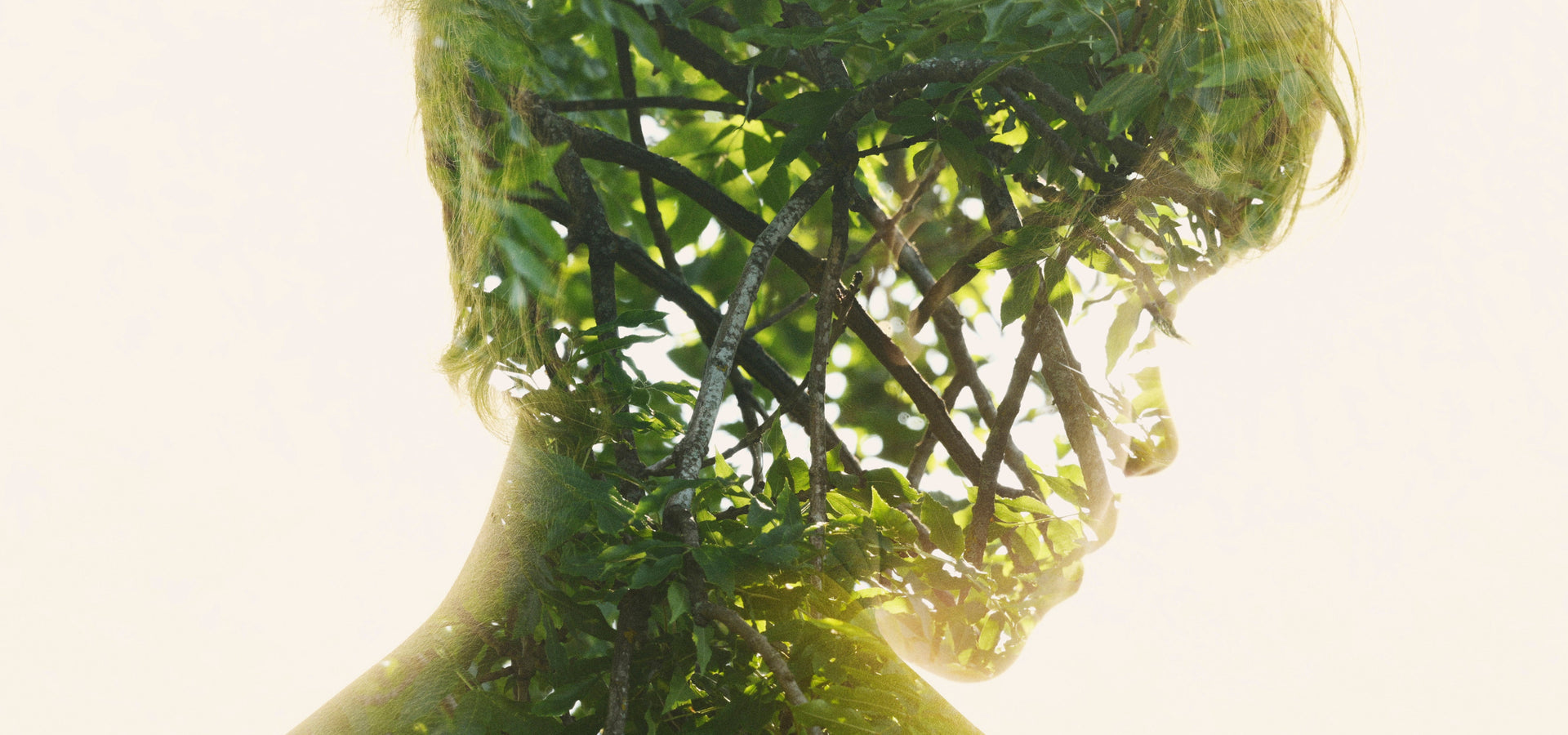 Roots of the spine