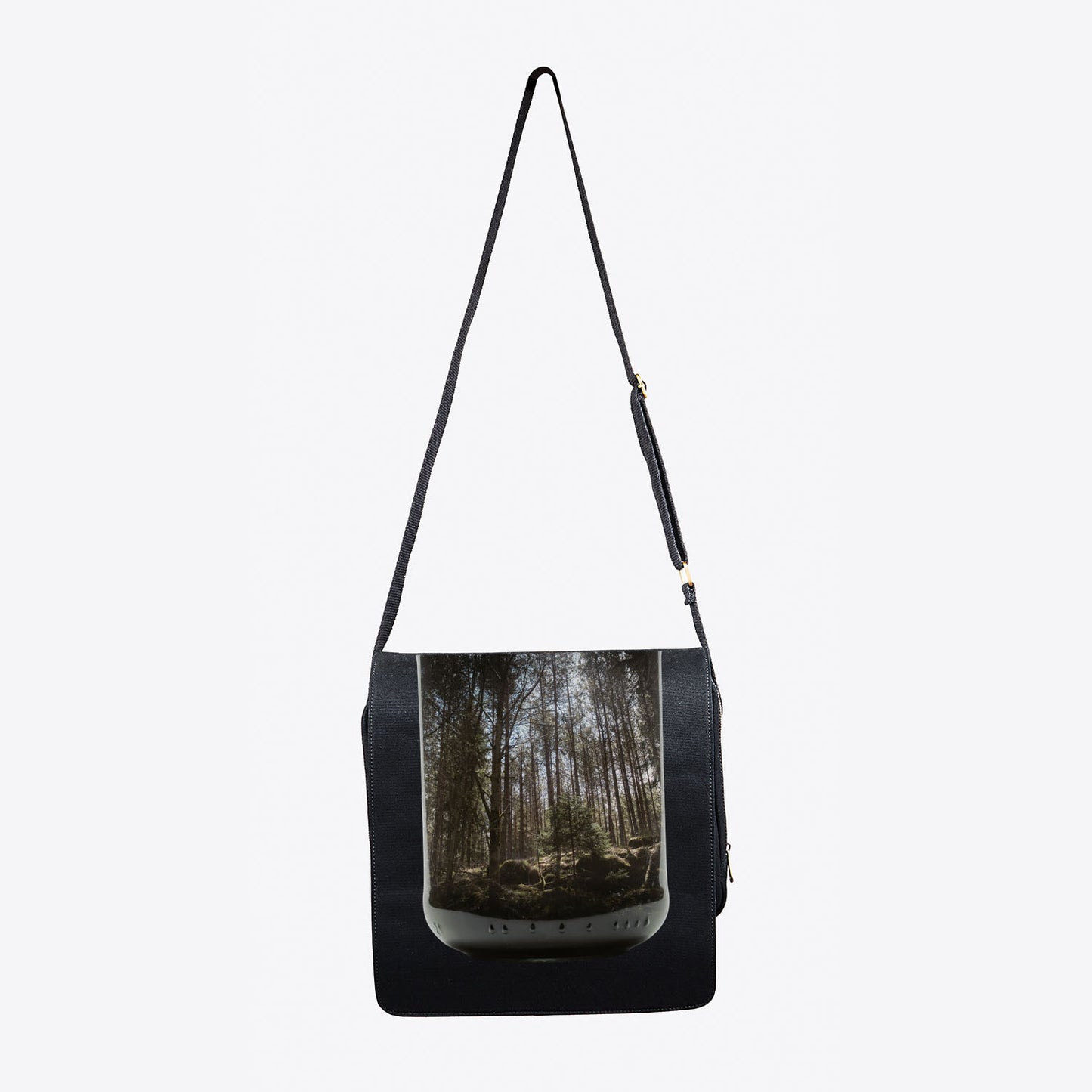 Pine Forest - S
