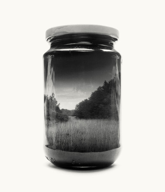 Reed