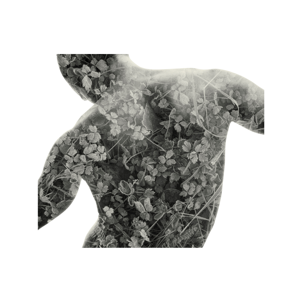 Frosted Back - P