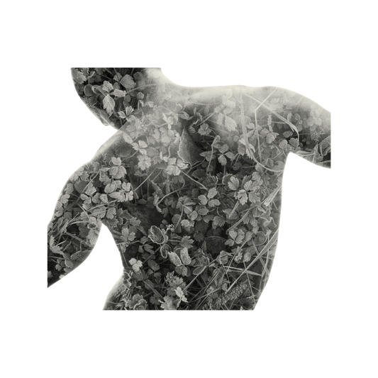Frosted Back - P