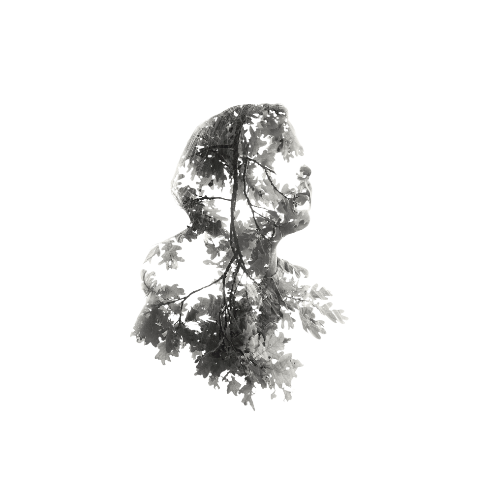 Frosted Back - H